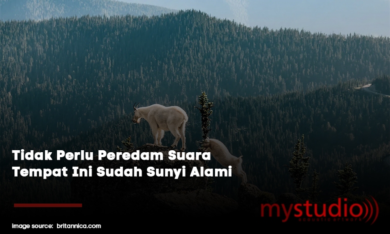 Tidak Perlu Peredam Suara Tempat Ini Sudah Sunyi Alami